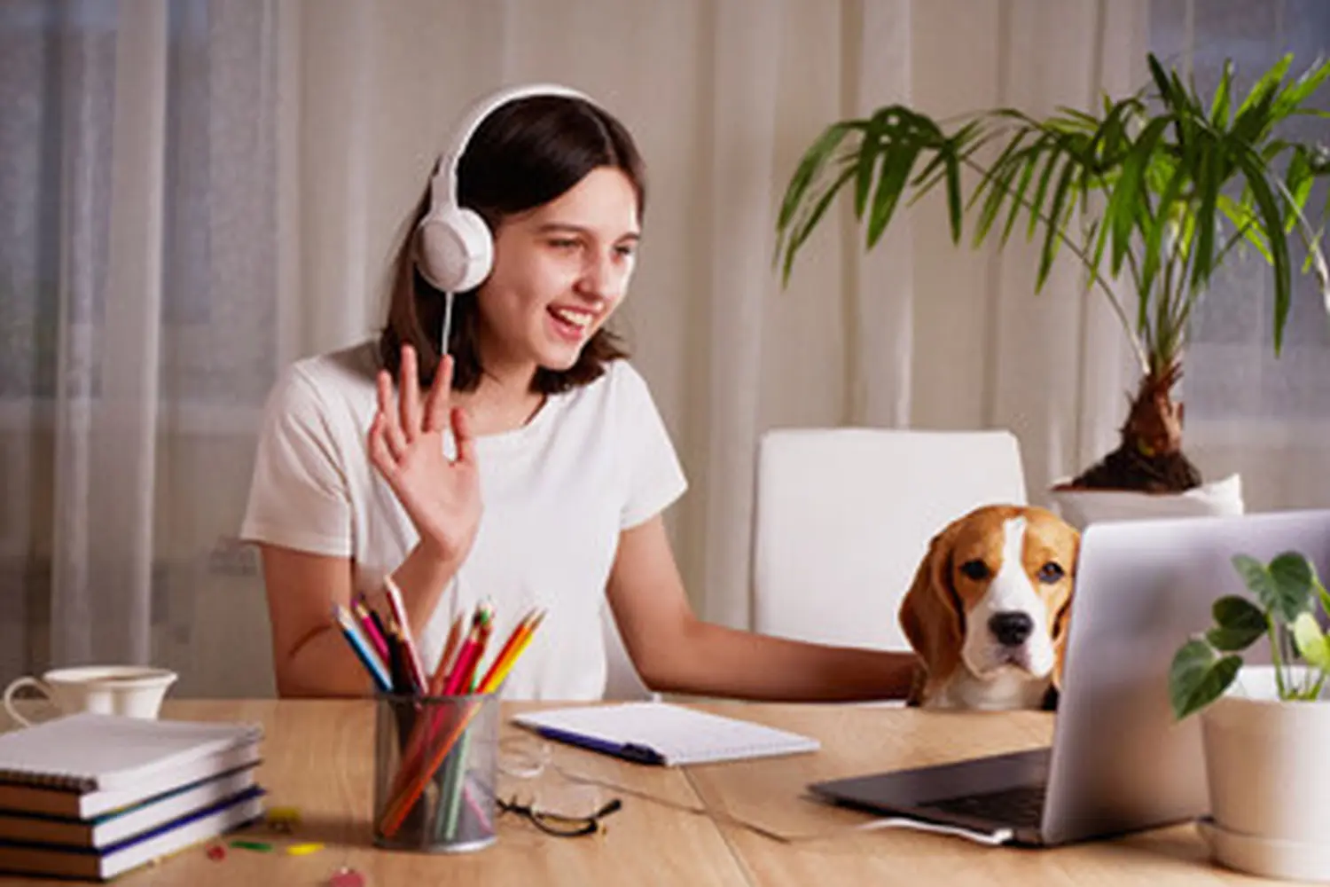 Frau spricht auf einem Laptop von Linguaservices